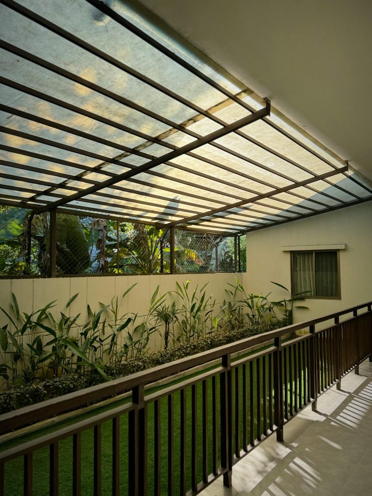 A serene backyard featuring bamboo plants under a pergola roof with soft light.